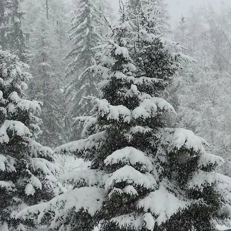 Apartment Argentiere - Ideal For Or Summer
